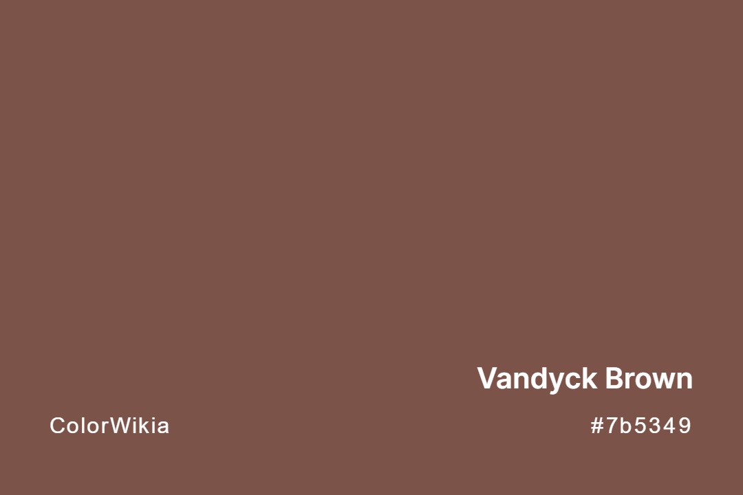 Vandyck Brown Color – #7b5349: Codes and Complete Breakdown