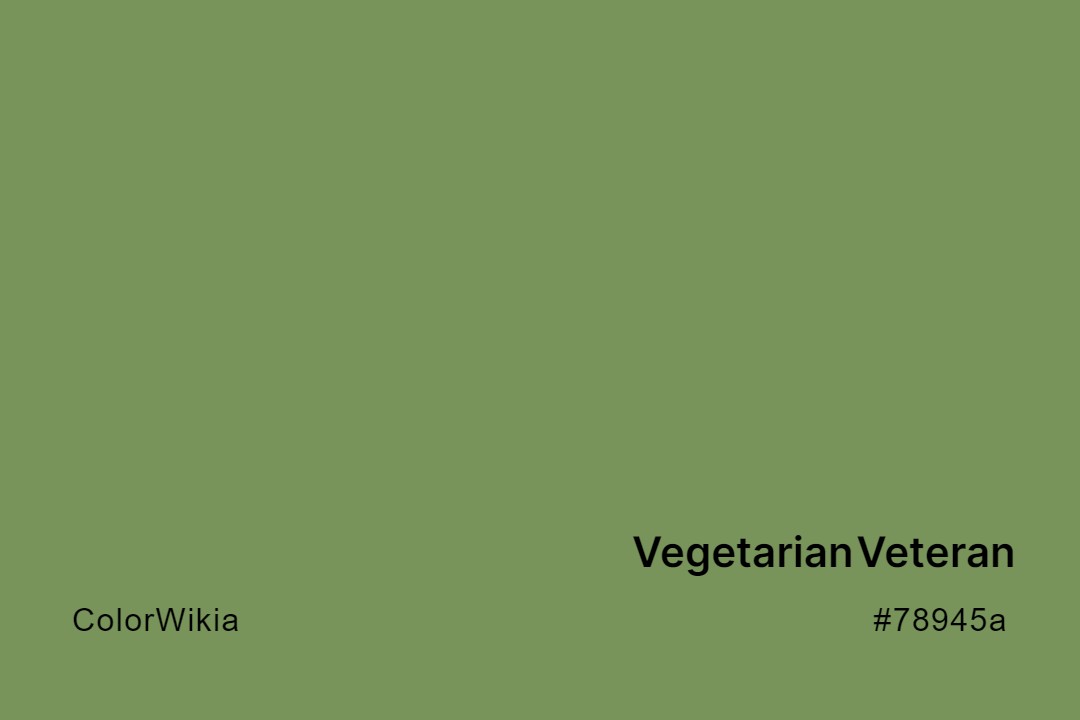 Vegetarian Veteran Color – #78945a: Codes and Complete Breakdown