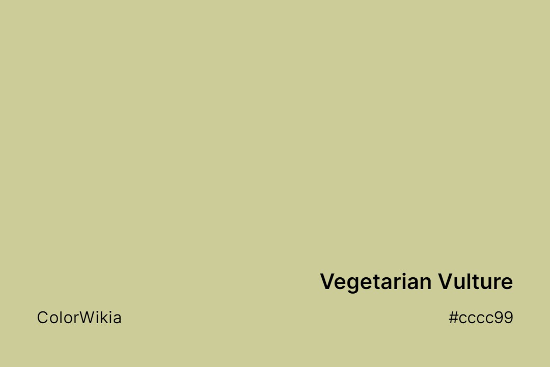 Vegetarian Vulture Color – #cccc99: Codes and Complete Breakdown