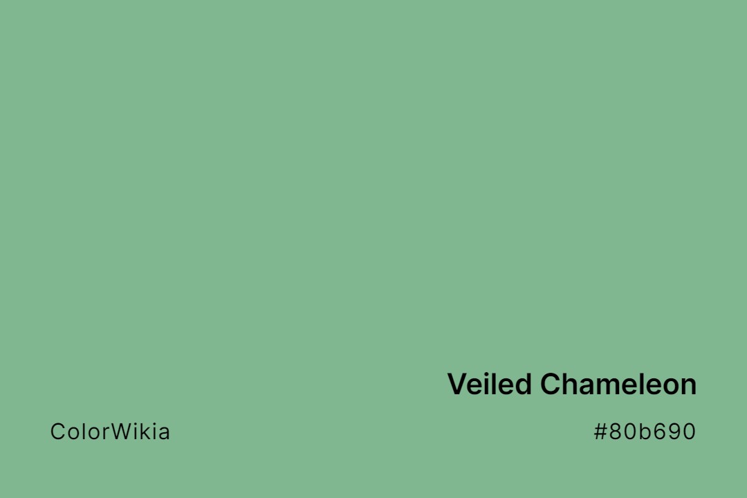 Veiled Chameleon Color – #80b690: Codes and Complete Breakdown
