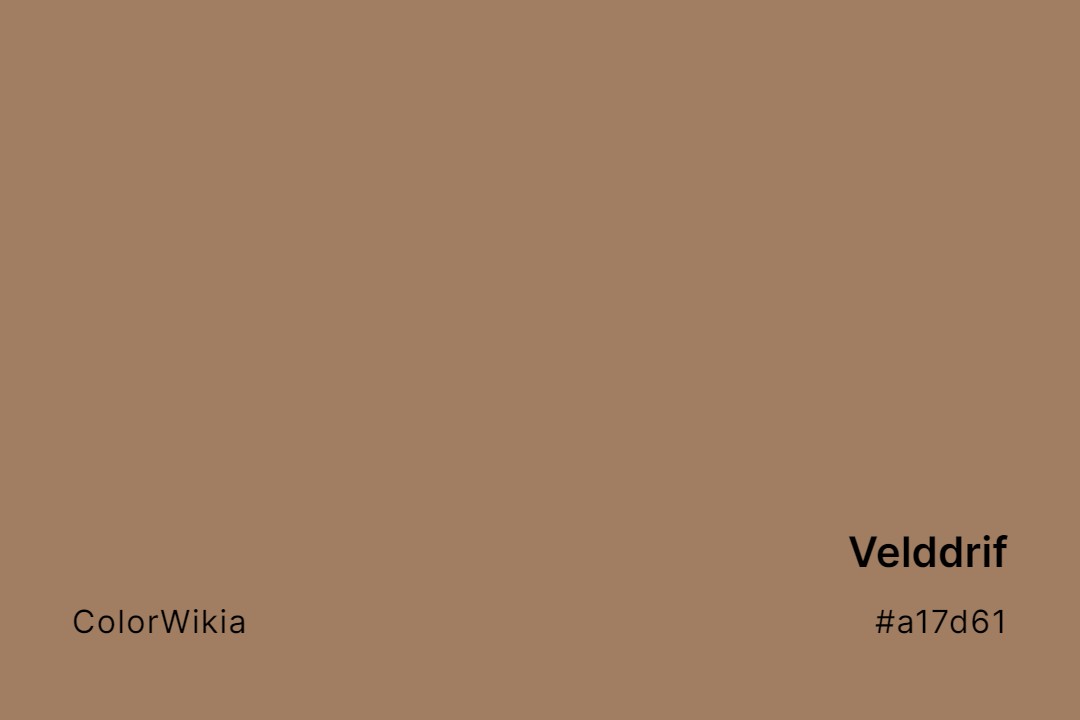 Velddrif Color – #a17d61: Codes and Complete Breakdown