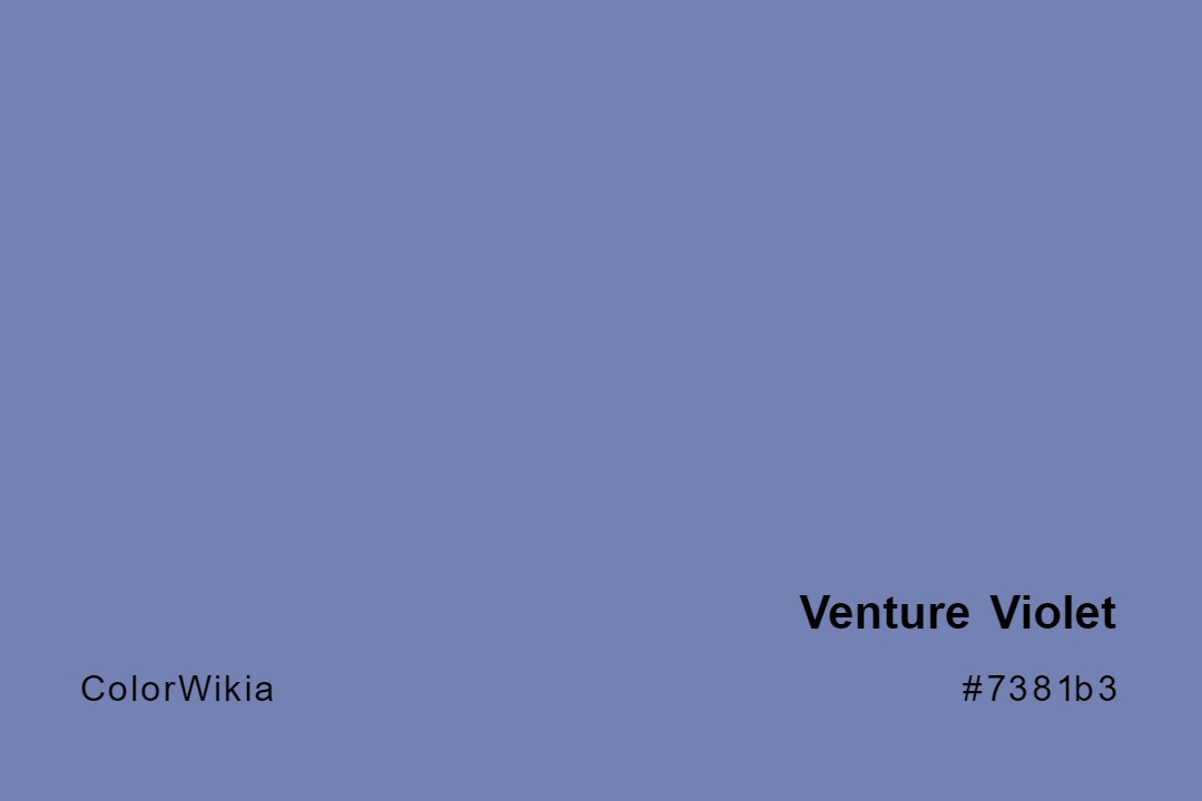 Venture Violet Color – #7381b3: Codes and Complete Breakdown