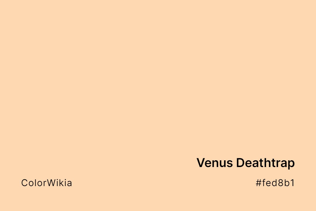 Venus Deathtrap Color – #fed8b1: Codes and Complete Breakdown