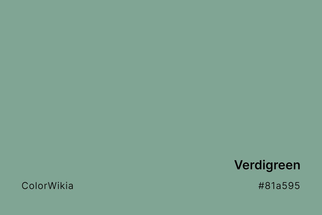 Verdigreen Color – #81a595: Codes and Complete Breakdown