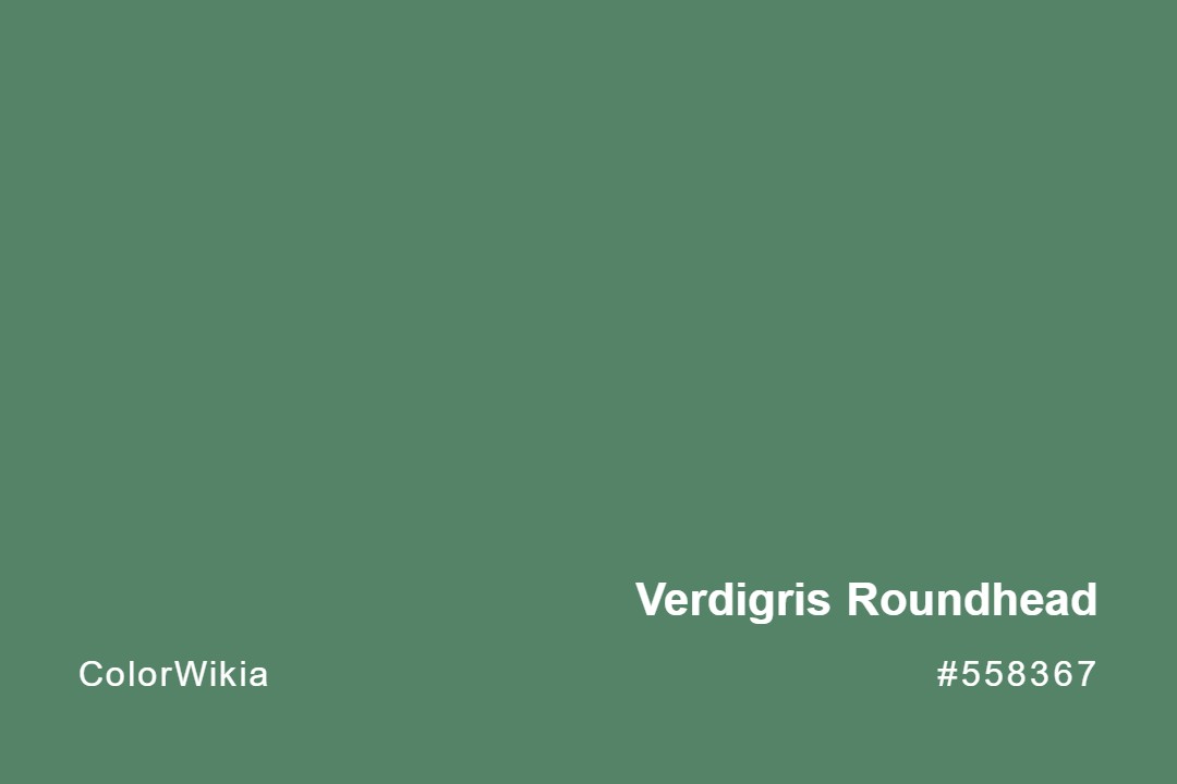 Verdigris Roundhead Color – #558367: Codes and Complete Breakdown