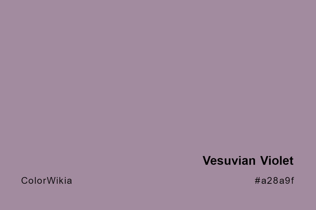 Vesuvian Violet Color – #a28a9f: Codes and Complete Breakdown