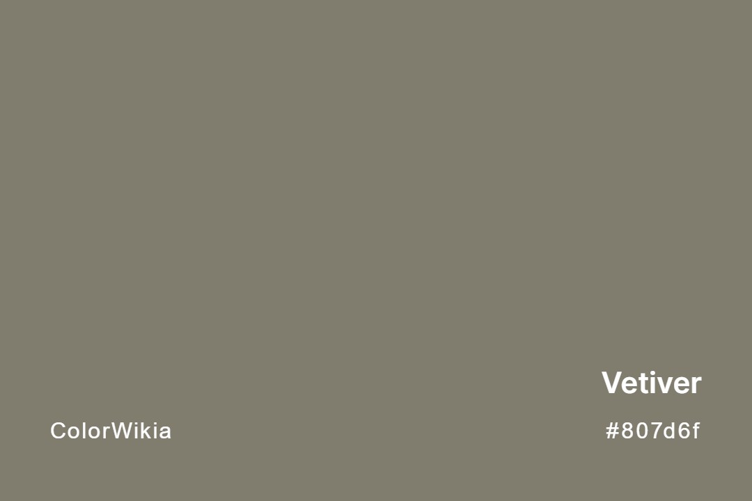 Vetiver Color – #807d6f: Codes and Complete Breakdown