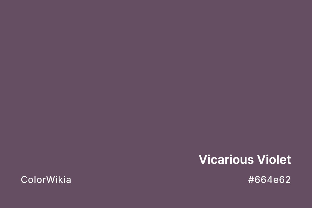 Vicarious Violet Color – #664e62: Codes and Complete Breakdown