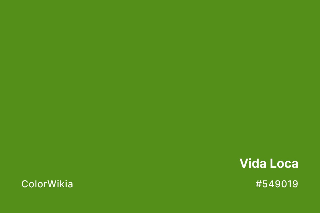 Vida Loca Color – #549019: Codes and Complete Breakdown