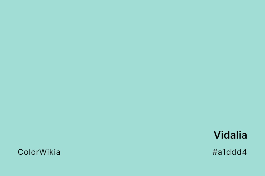 Vidalia Color – #a1ddd4: Codes and Complete Breakdown