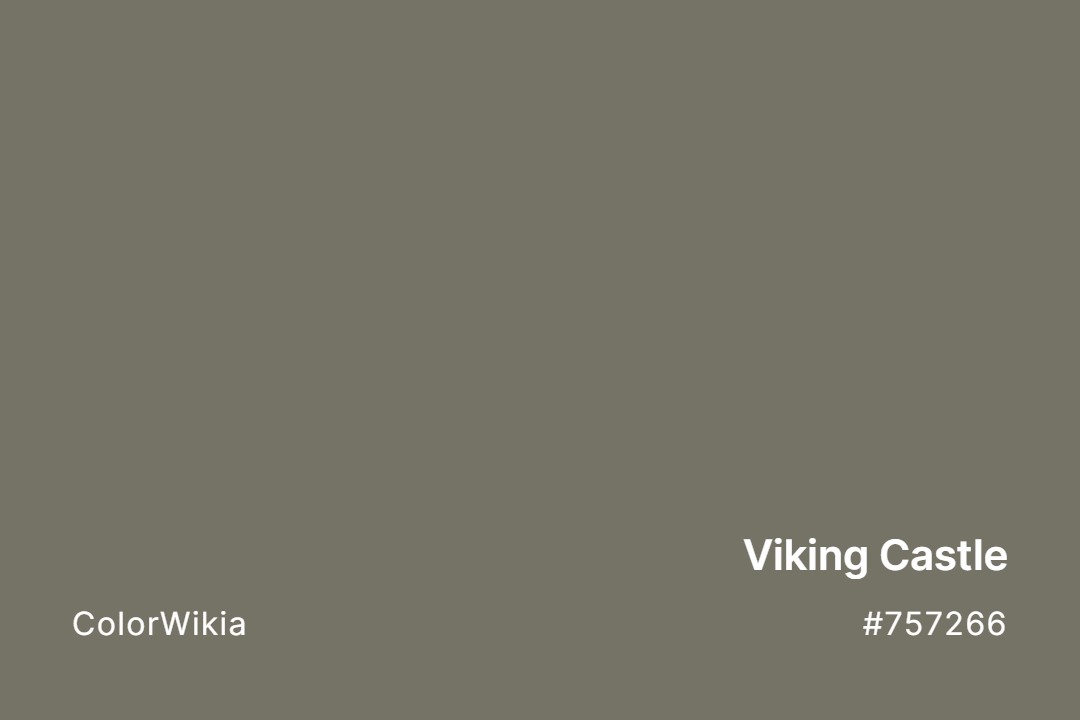 viking castle color 757266