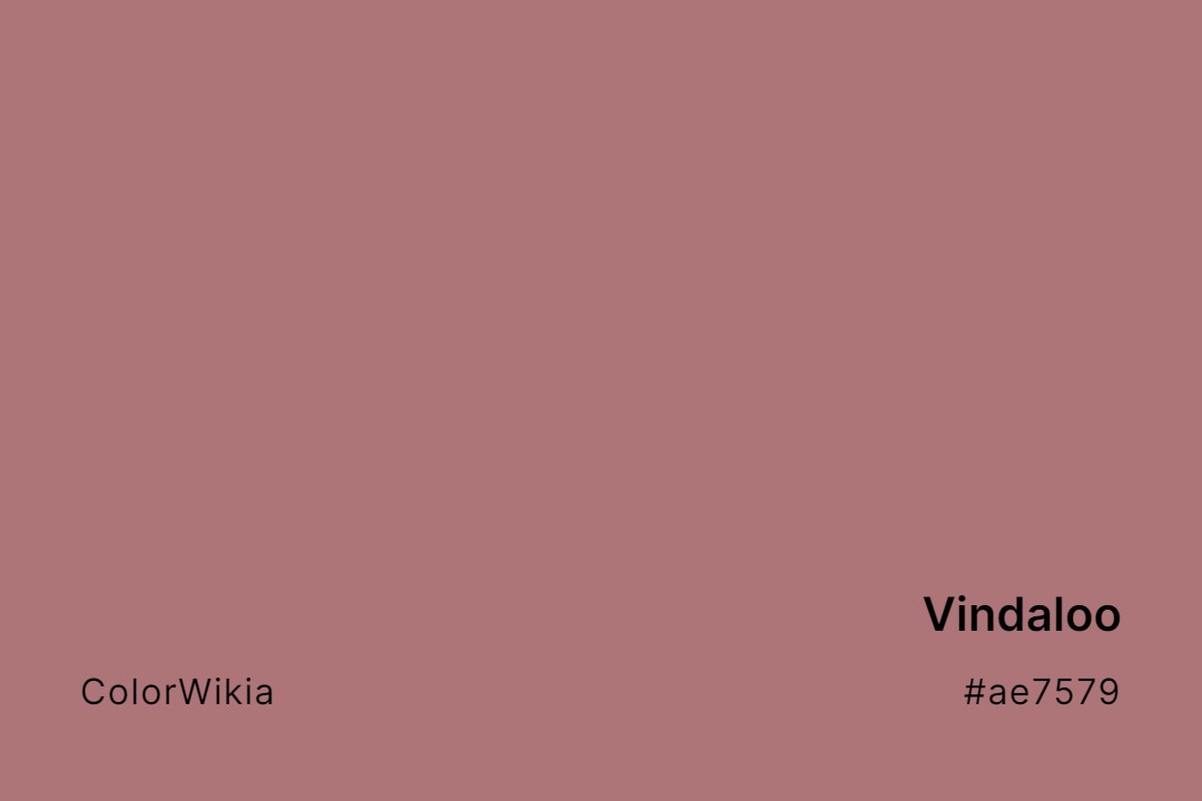 Vindaloo Color – #ae7579: Codes and Complete Breakdown