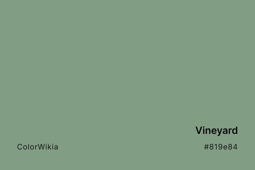 vineyard color 819e84