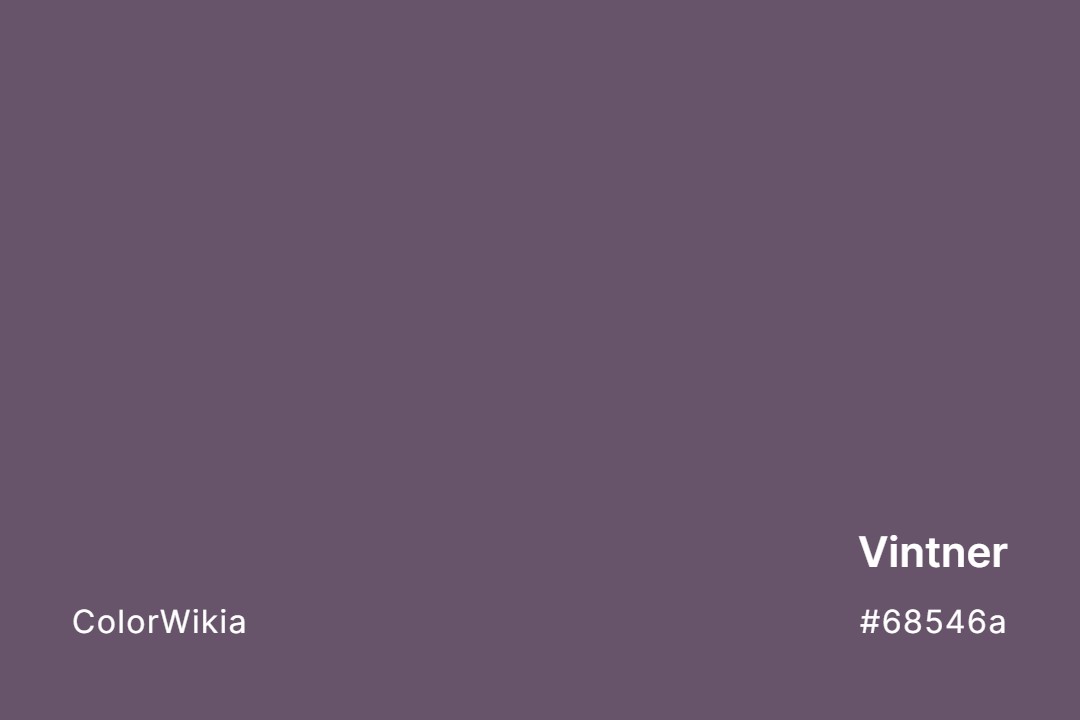 Vintner Color – #68546a: Codes and Complete Breakdown