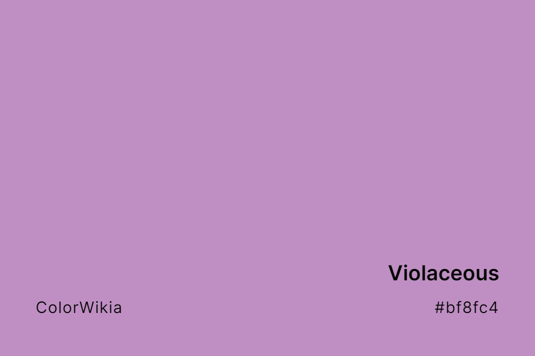 Violaceous Color – #bf8fc4: Codes and Complete Breakdown