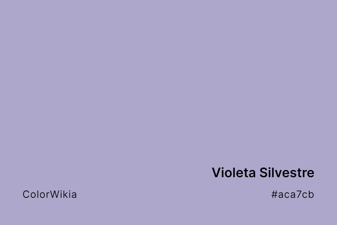 Violeta Silvestre Color – #aca7cb: Codes and Complete Breakdown