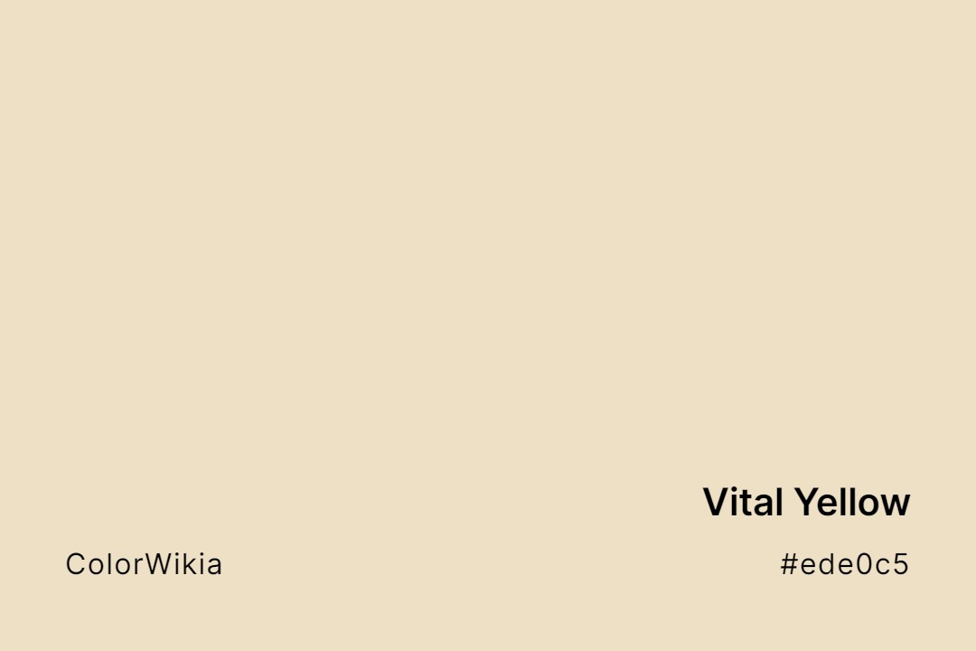 Vital Yellow Color – #ede0c5: Codes and Complete Breakdown