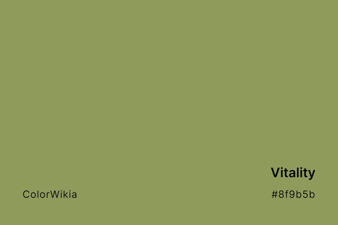 Vitality Color – #8f9b5b: Codes and Complete Breakdown