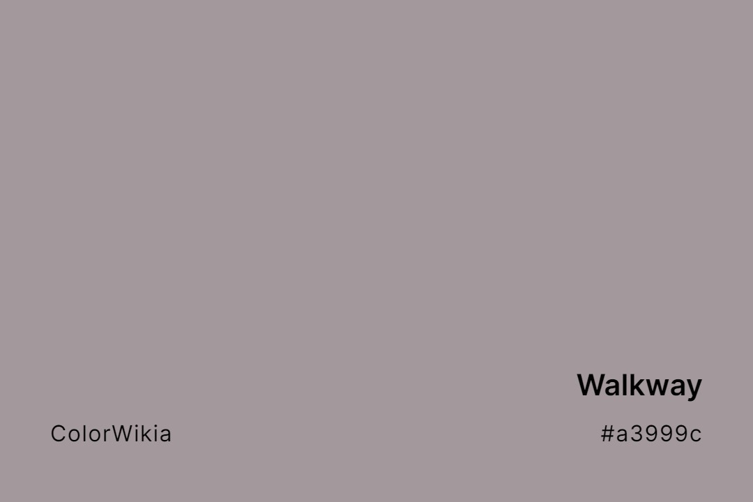 Walkway Color – #a3999c: Codes and Complete Breakdown