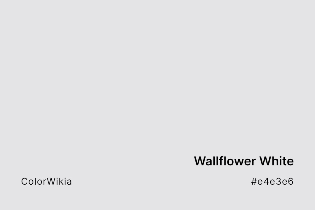Wallflower White Color – #e4e3e6: Codes and Complete Breakdown