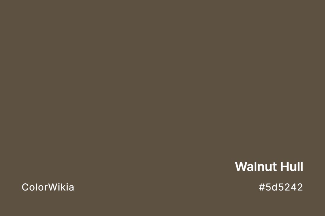 Walnut Hull Color – #5d5242: Codes and Complete Breakdown