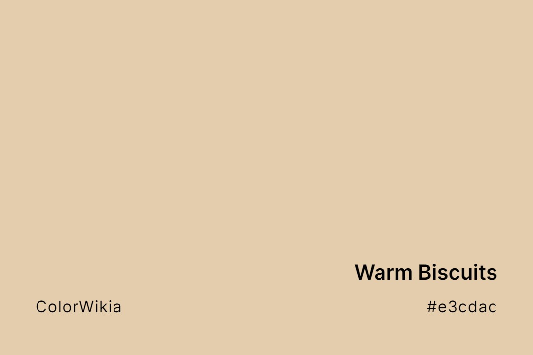Warm Biscuits Color – #e3cdac: Codes and Complete Breakdown