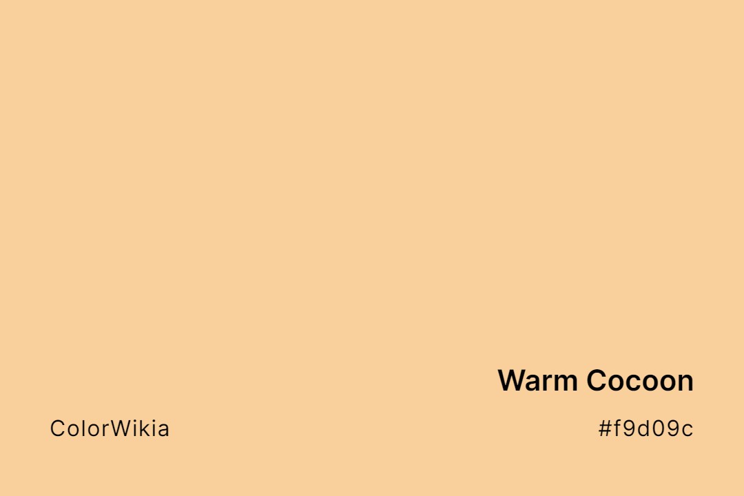Warm Cocoon Color – #f9d09c: Codes and Complete Breakdown