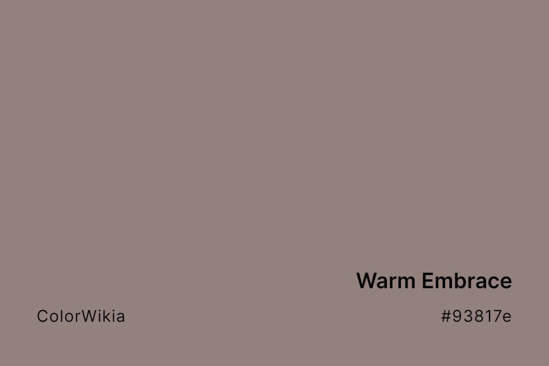Warm Embrace Color – #93817e: Codes and Complete Breakdown