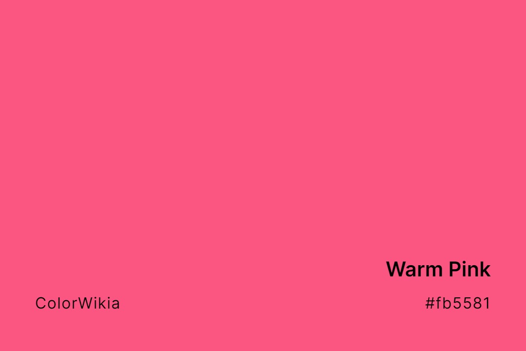 Warm Pink Color – #fb5581: Codes and Complete Breakdown