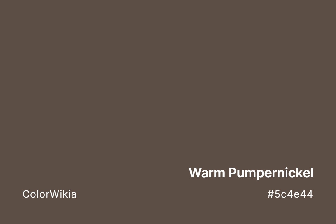 Warm Pumpernickel Color – #5c4e44: Codes and Complete Breakdown