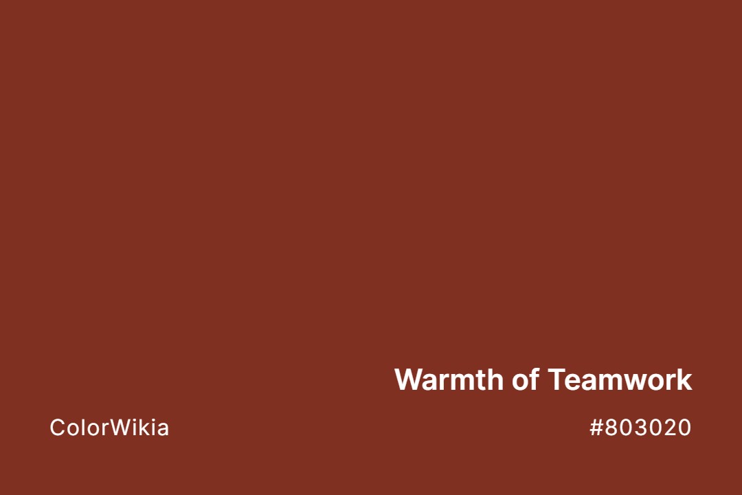 Warmth of Teamwork Color – #803020: Codes and Complete Breakdown