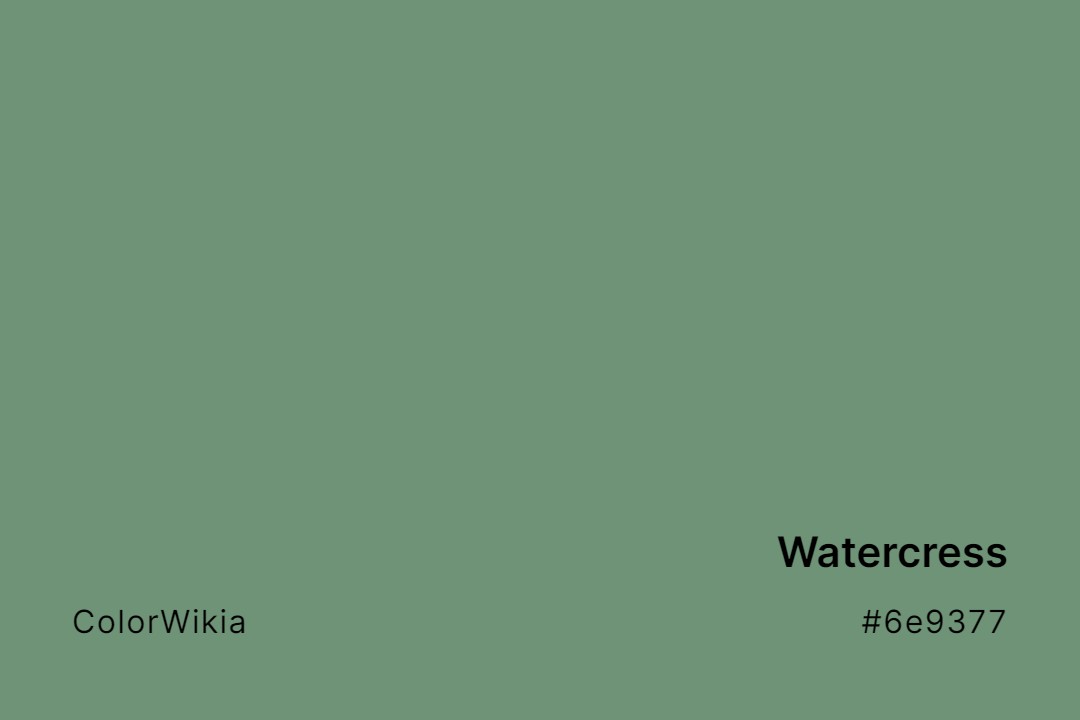 Watercress Color – #6e9377: Codes and Complete Breakdown