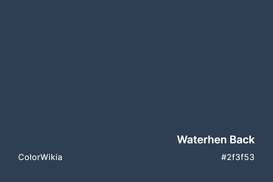 Waterhen Back Color – #2f3f53: Codes and Complete Breakdown