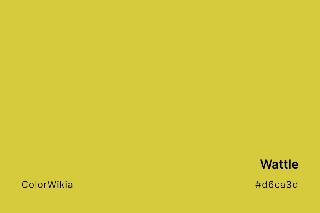 Wattle Color – #d6ca3d: Codes and Complete Breakdown