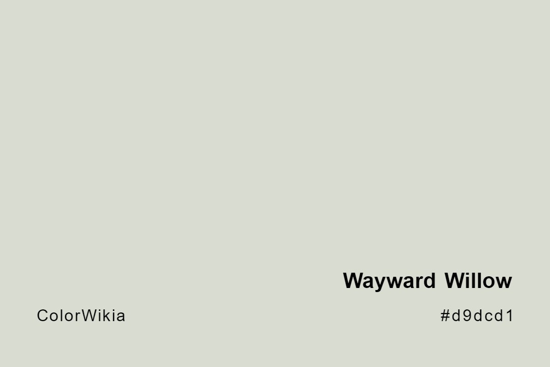 Wayward Willow Color – #d9dcd1: Codes and Complete Breakdown