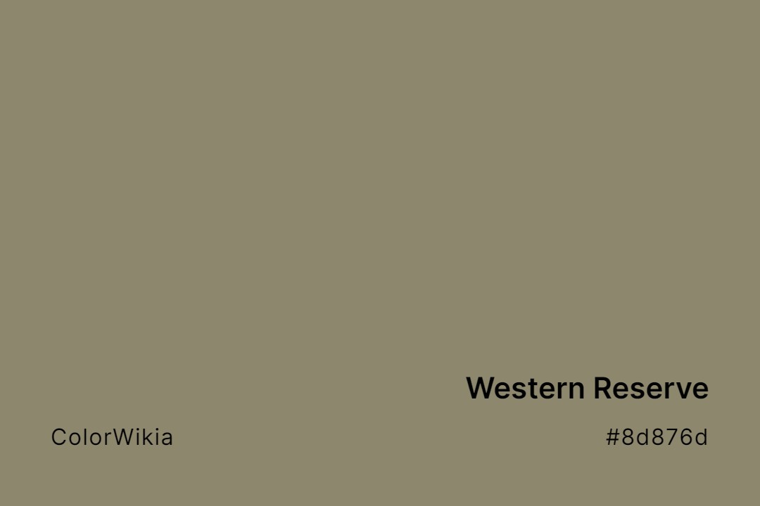 Western Reserve Color – #8d876d: Codes and Complete Breakdown