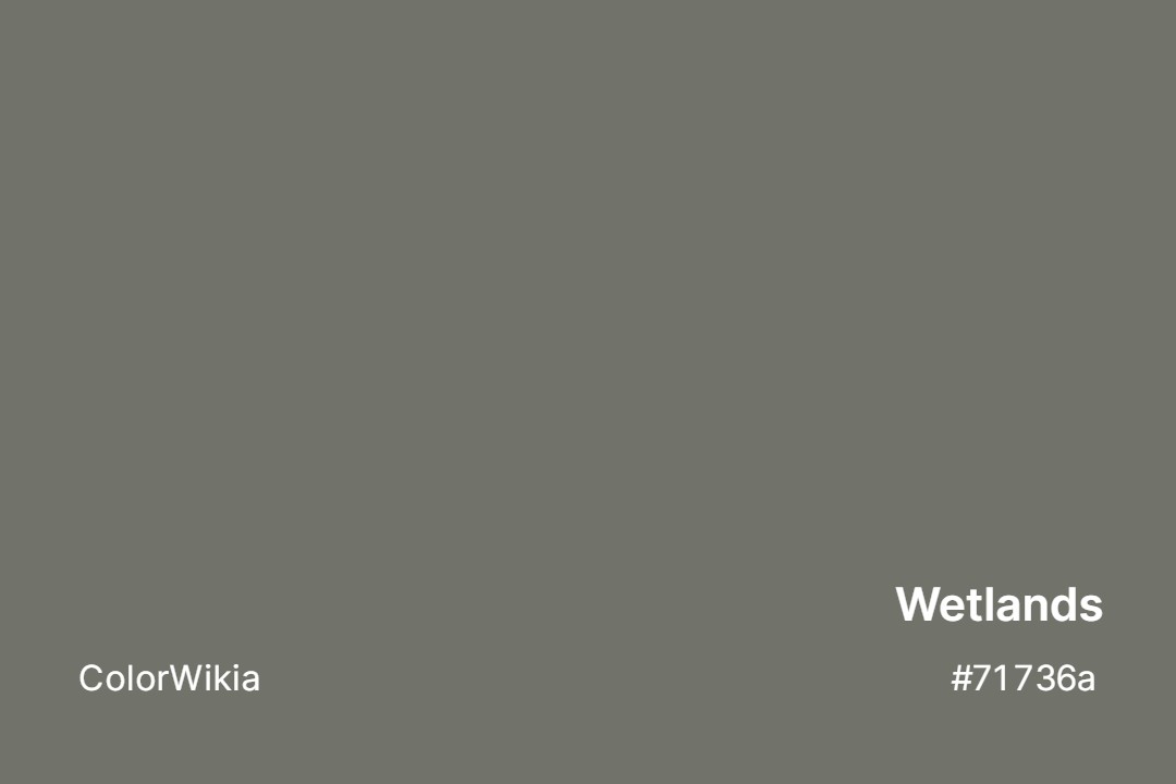 Wetlands Color – #71736a: Codes and Complete Breakdown