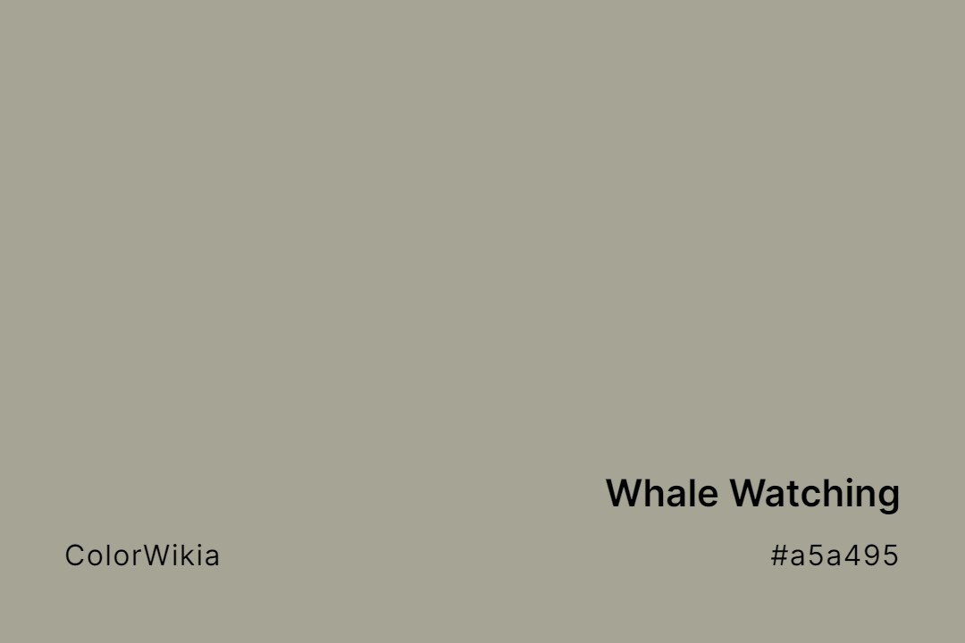 Whale Watching Color – #a5a495: Codes and Complete Breakdown