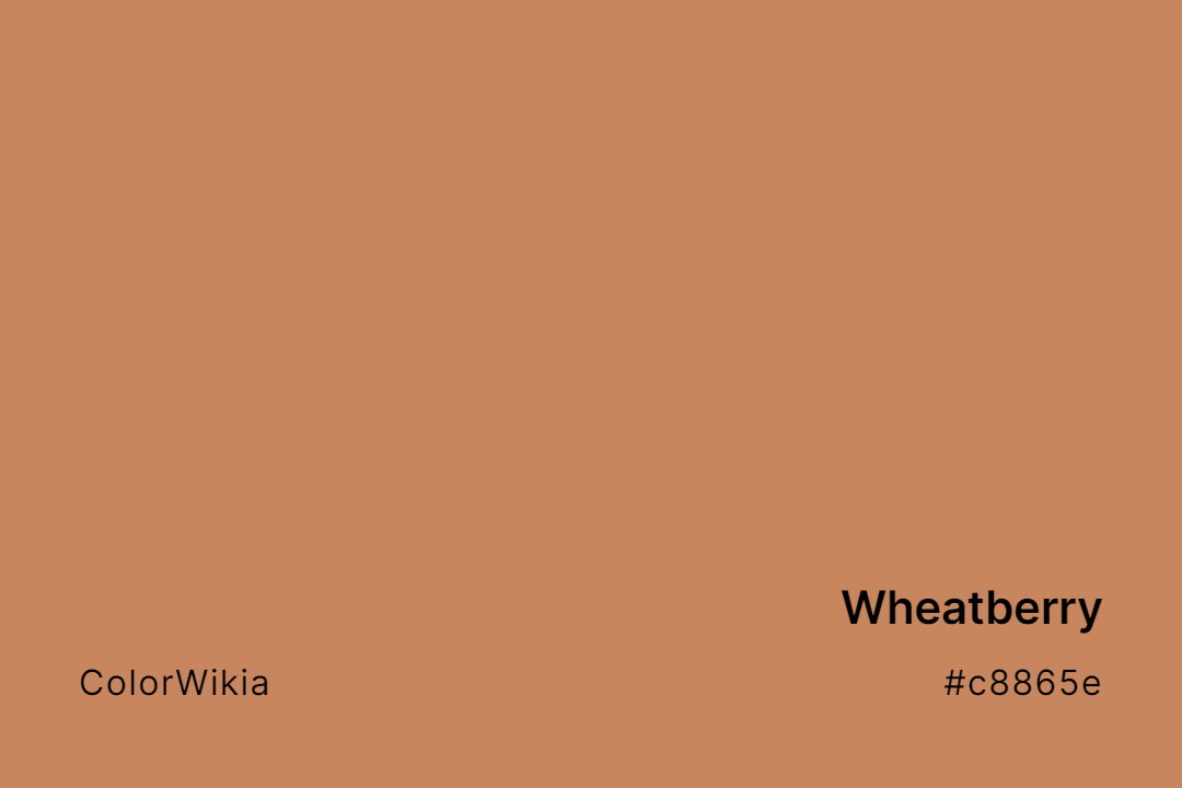 Wheatberry Color – #c8865e: Codes and Complete Breakdown