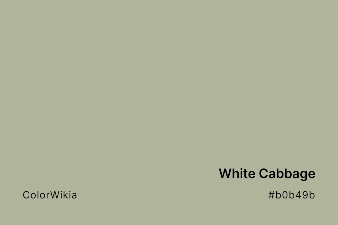 white cabbage color b0b49b