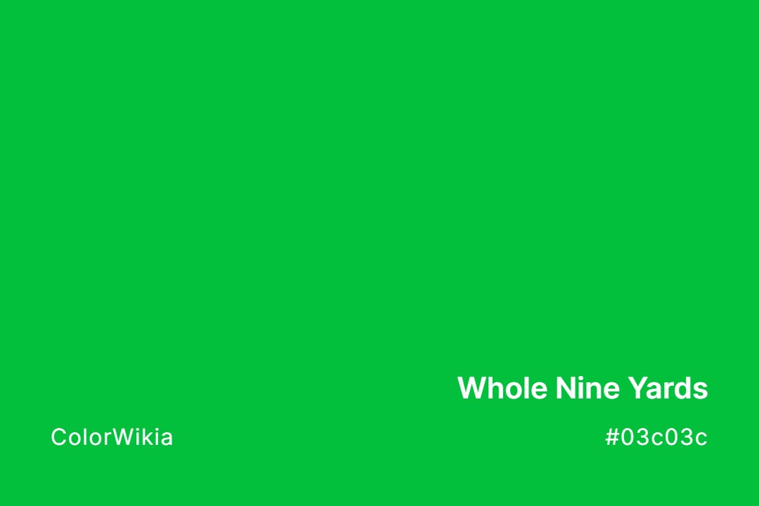 Whole Nine Yards Color – #03c03c: Codes and Complete Breakdown