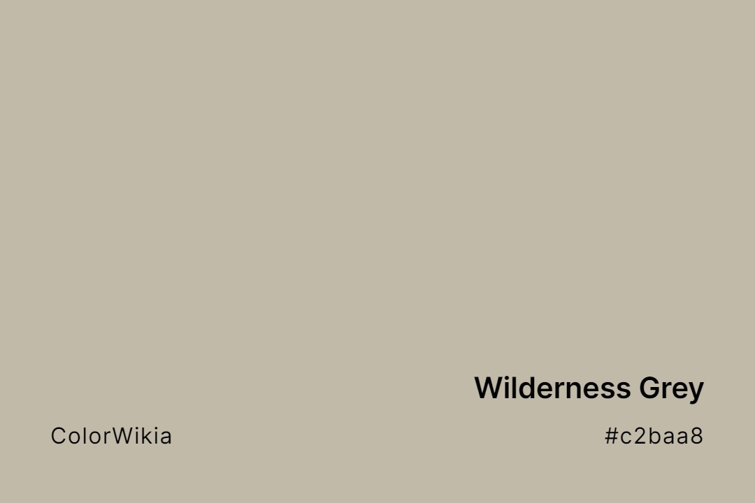 Wilderness Grey Color – #c2baa8: Codes and Complete Breakdown