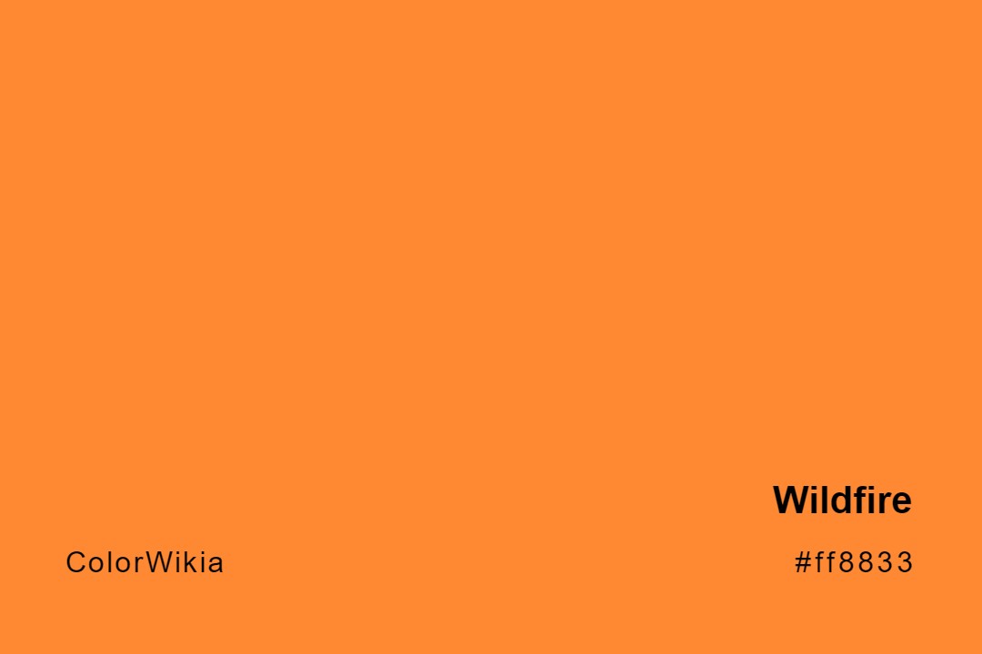 Wildfire Color – #ff8833: Codes and Complete Breakdown