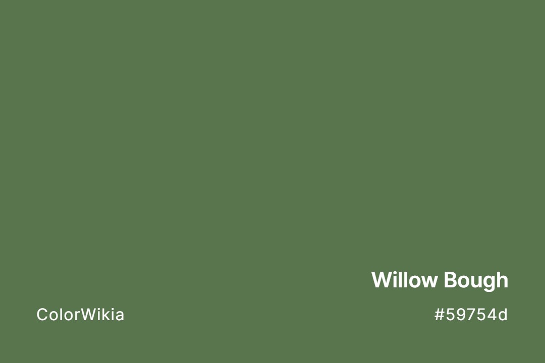 Willow Bough Color – #59754d: Codes and Complete Breakdown