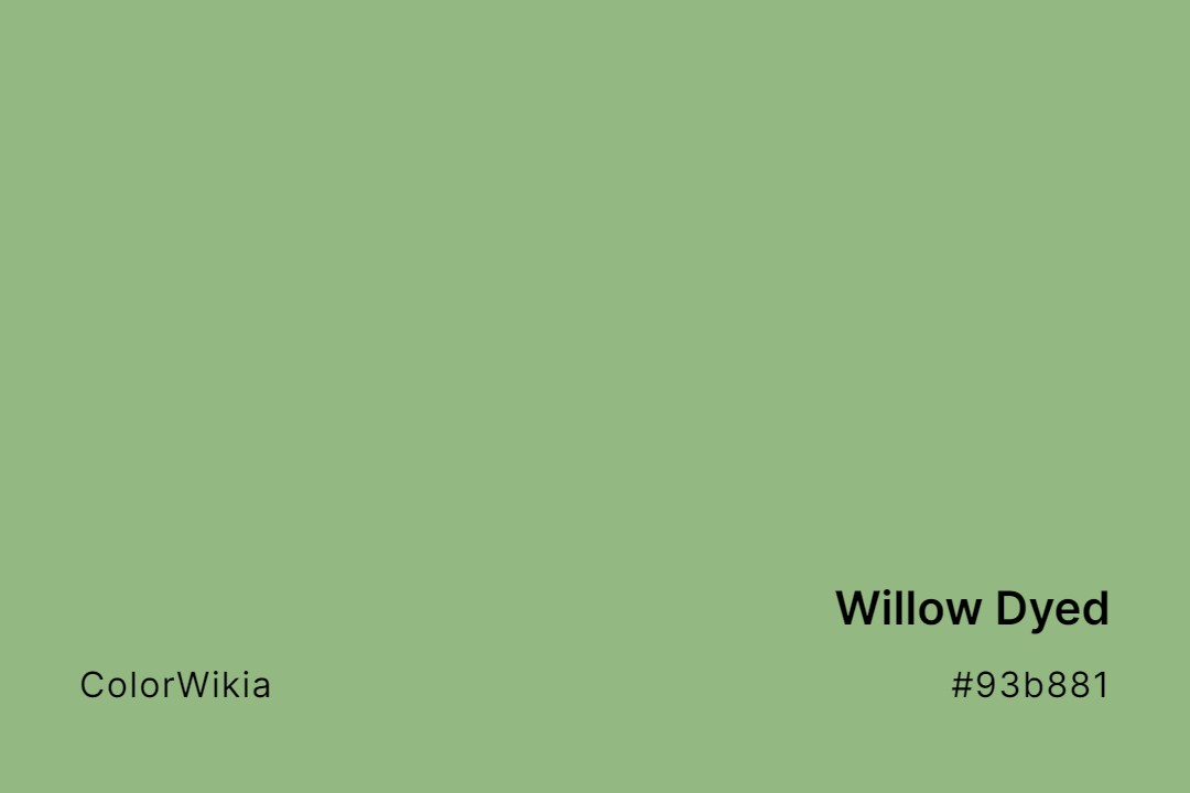 Willow Dyed Color – #93b881: Codes and Complete Breakdown