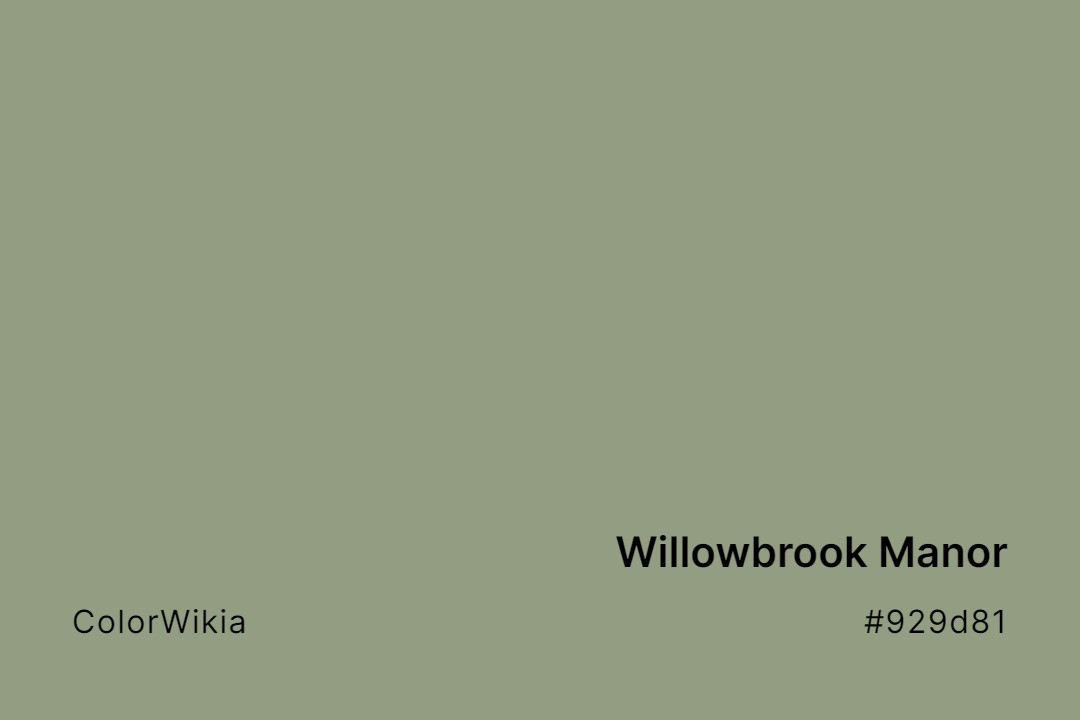Willowbrook Manor Color – #929d81: Codes and Complete Breakdown