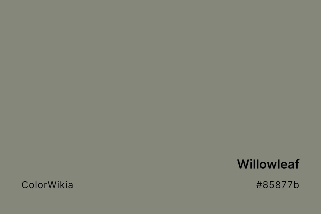 Willowleaf Color – #85877b: Codes and Complete Breakdown