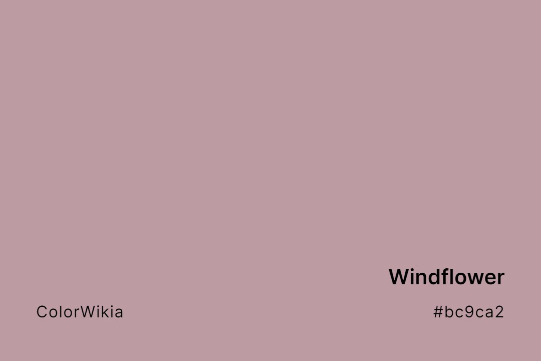 Windflower Color – #bc9ca2: Codes and Complete Breakdown