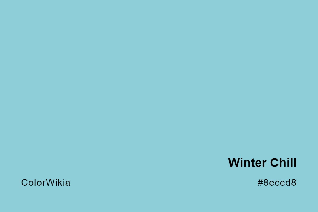 Winter Chill Color – #8eced8: Codes and Complete Breakdown