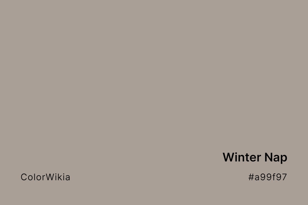 Winter Nap Color – #a99f97: Codes and Complete Breakdown